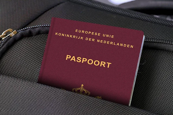 Паспорт Нидерландов в черном кармане — стоковое фото