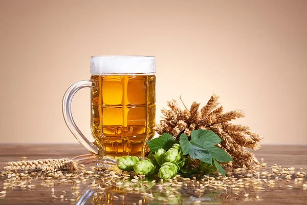 Ingredients and beer in a glass — Stock Photo, Image