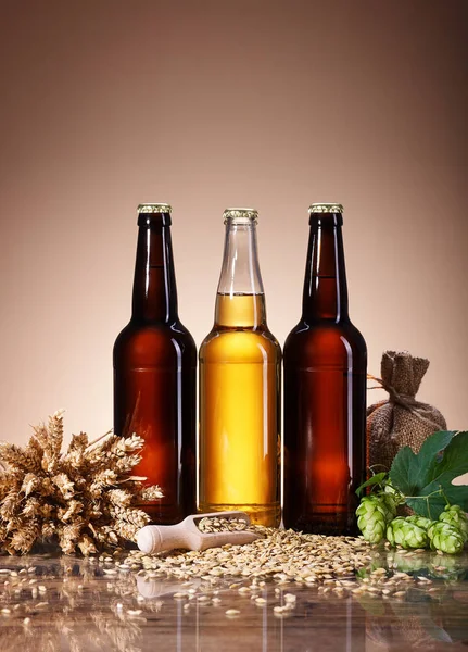 Свіже пиво та інгредієнти для заварювання — стокове фото