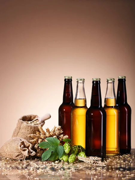 Асортимент свіжого пляшкового пива та пивоваріння інгредієнтів . — стокове фото