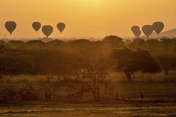 Amanecer Escénico Impresionante Con Muchos Globos Aire Caliente Sobre Bagan — Foto de Stock