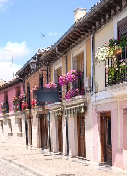 Gepflasterten Straße in der spanischen Stadt Burgos, sind Pflanzen in thei — Stockfoto