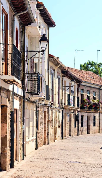 Колюча вулиця в іспанському місті Бургос, є рослинами в Теї. — стокове фото