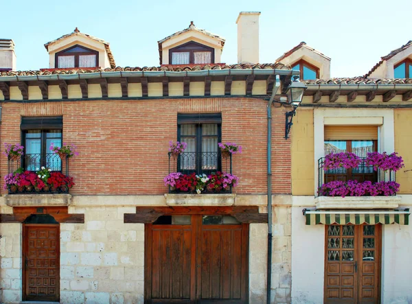 Calle empedrada en la ciudad española de Burgos, son plantas en thei — Foto de Stock