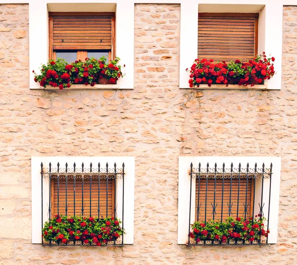 Fachada de edificio antiguo con escudo de armas y varias ventanas — Foto de Stock