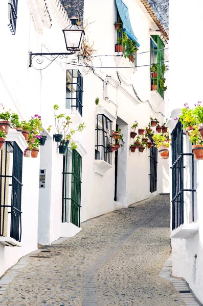 Calle con casas blancas y flores en Arcos de la Frontera — Foto de Stock