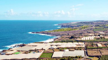 Muz ağaçları ile denizin Tenerife Adası