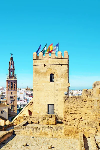 Uitzicht Monumentale Stad Carmona Andalusië Het Zuiden Van Spanje Een — Stockfoto