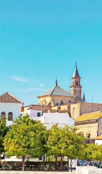 Utsikt Över Den Monumentala Staden Carmona Andalusien Södra Spanien Solig — Stockfoto