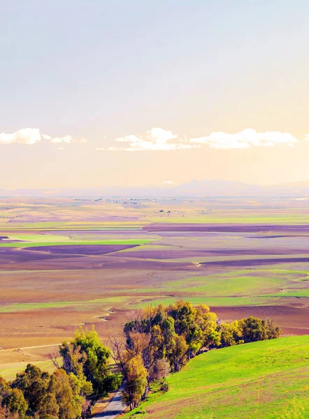 Campo Carmona Andalusia Una Giornata Sole — Foto Stock