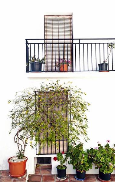 Fenster Mit Blumentöpfen Einer Weißen Wand — Stockfoto