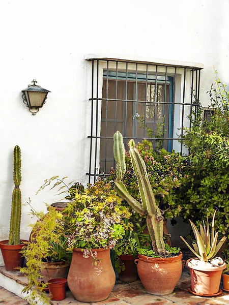 Strada Mura Bianche Villaggio Dell Andalusia Chiamato Frigiliana — Foto Stock