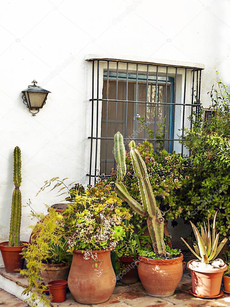 Street of white walls in a village of Andalusia called Frigiliana