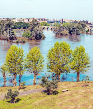 Güneşli bir günde Extremadura 'nın yanındaki Guadiana nehri.