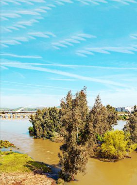 Güneşli bir günde Extremadura 'nın yanındaki Guadiana nehri.