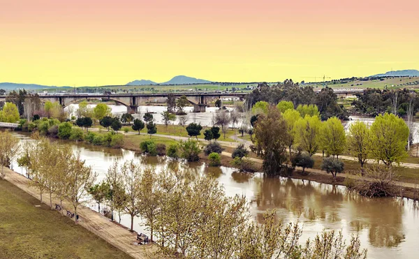 Río Guadiana Junto Los Campos Extremadura Día Soleado —  Fotos de Stock