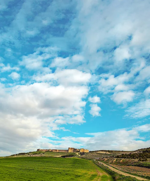 Château Dans Les Champs Valladolid Dans Nord Espagne Par Une — Photo