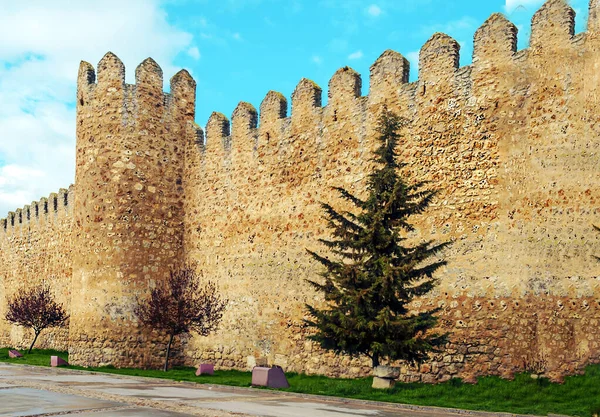 在阳光灿烂的日子里 西班牙卡斯蒂利亚和里昂城堡的墙壁 — 图库照片