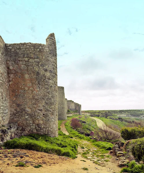 Schloss Den Feldern Von Valladolid Norden Spaniens Einem Bewölkten Tag — Stockfoto