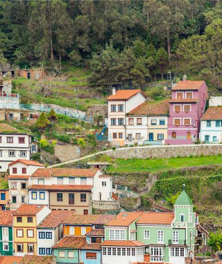 İspanya 'nın kuzeyindeki Asturias kentindeki Cangas de Onis köyü güneşli bir günde