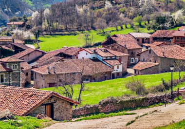 Güneşli bir günde İspanya 'nın kuzeyindeki Mogrovejo köyü