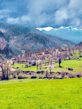 İspanya 'nın kuzeyindeki Mogrovejo dağları güneşli bir günde