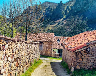 Güneşli bir günde İspanya 'nın kuzeyindeki Mogrovejo köyü