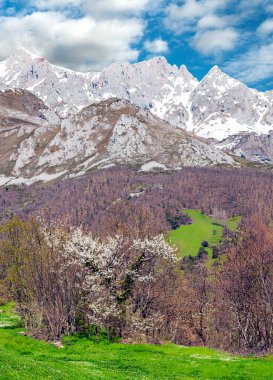 İspanya 'nın kuzeyindeki Mogrovejo dağları güneşli bir günde
