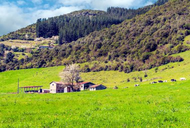 İspanya 'nın kuzeyindeki Asturias Dağları bulutlu bir günde