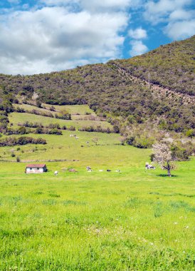 İspanya 'nın kuzeyindeki Asturias Dağları bulutlu bir günde
