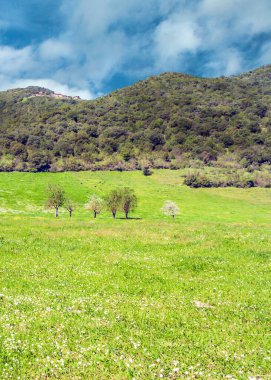 İspanya 'nın kuzeyindeki Asturias Dağları