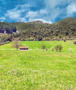 İspanya 'daki Asturias Dağları güneşli bir günde