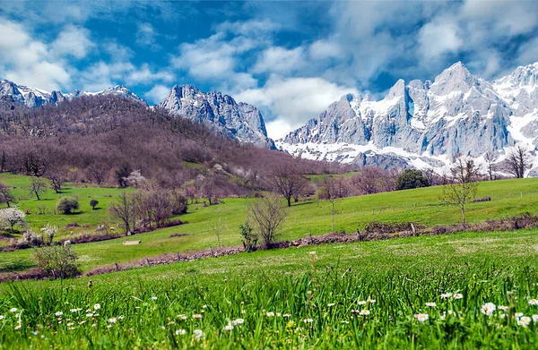 Mogrovejo Mountains North Spain Sunny Day — Stock Photo, Image