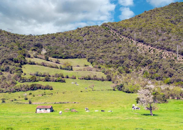 Montagne Delle Asturie Nel Nord Della Spagna Una Giornata Nuvolosa — Foto Stock