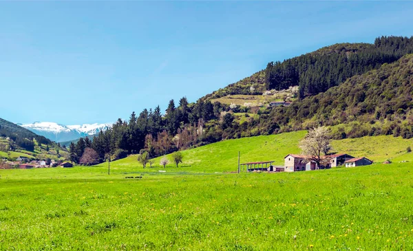 Bergen Van Asturië Het Noorden Van Spanje Een Bewolkte Dag — Stockfoto