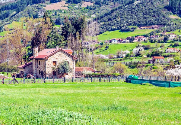 Βουνά Των Αστουριών Στα Βόρεια Της Ισπανίας — Φωτογραφία Αρχείου