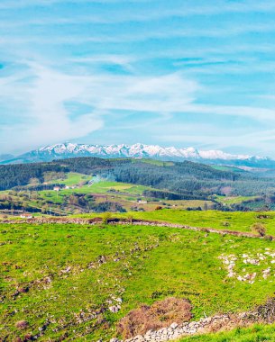 Güneşli bir günde İspanya 'nın kuzeyinde Santillana del Mar' ın çayırları