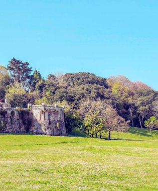 Güneşli bir günde İspanya 'nın kuzeyinde Santillana del Mar' ın çayırları