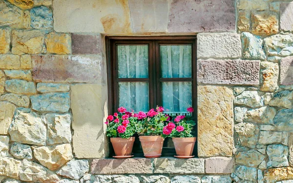 Façade Avec Pots Fleurs Dans Les Fenêtres — Photo