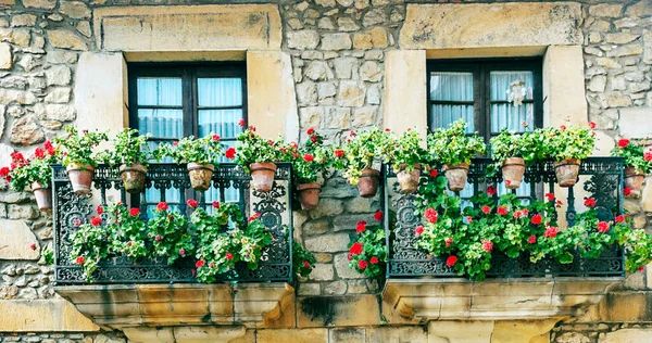 Fachada Com Vasos Flores Nas Janelas — Fotografia de Stock