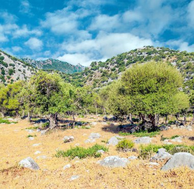 İspanya 'nın güneyinde güneşli bir günde, Endülüs' teki Sierra de Cazorla Dağları