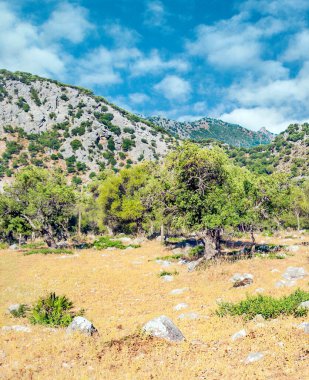 İspanya 'nın güneyinde güneşli bir günde, Endülüs' teki Sierra de Cazorla Dağları