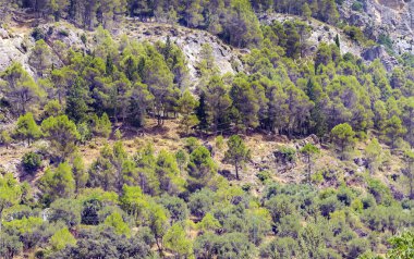 İspanya 'nın güneyinde güneşli bir günde, Endülüs' teki Sierra de Cazorla Dağları