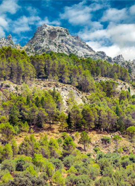 İspanya 'nın güneyinde güneşli bir günde, Endülüs' teki Sierra de Cazorla Dağları