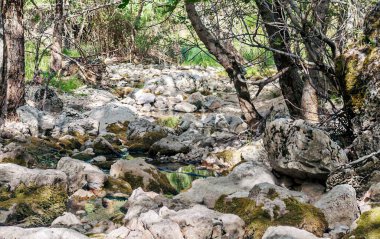 İspanya 'nın güneyinde güneşli bir günde, Endülüs' teki Sierra de Cazorla Dağları