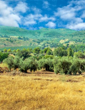 İspanya 'nın güneyinde güneşli bir günde, Endülüs' teki Sierra de Cazorla Dağları
