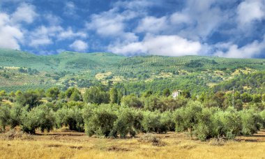 İspanya 'nın güneyinde güneşli bir günde, Endülüs' teki Sierra de Cazorla Dağları
