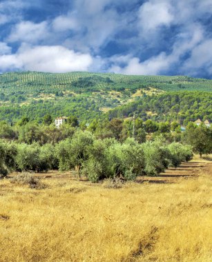 İspanya 'nın güneyinde güneşli bir günde, Endülüs' teki Sierra de Cazorla Dağları