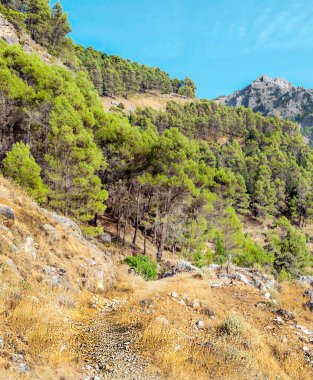 İspanya 'nın güneyinde güneşli bir günde, Endülüs' teki Sierra de Cazorla Dağları