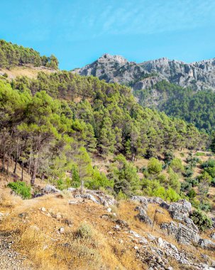 İspanya 'nın güneyinde güneşli bir günde, Endülüs' teki Sierra de Cazorla Dağları